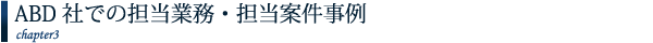 ABD社での担当業務・担当案件事例