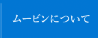 ࡼӥˤĤ