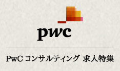 PwC󥵥ƥ  ý